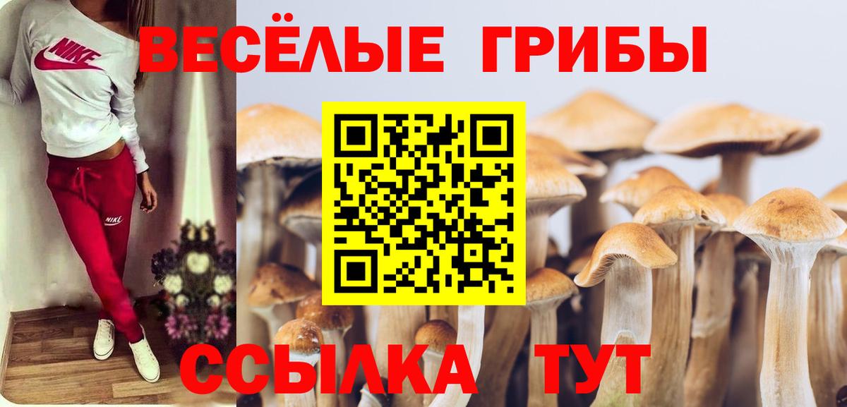 Псилоцибиновые грибы MAGIC MUSHROOMS Усинск